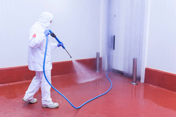 Best Playground Equipment Cleaning  in Santa Maria, CA