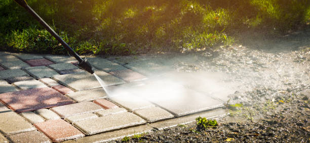 Best Animal Enclosure Cleaning  in Santa Maria, CA